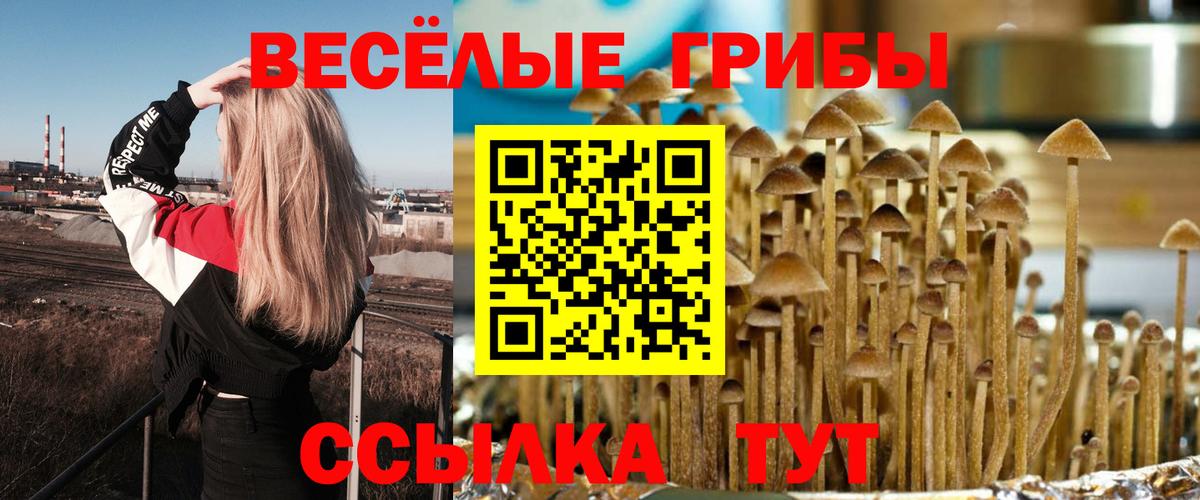 Псилоцибиновые грибы мицелий  Вход с VPN  Заводоуковск 